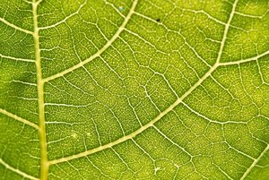 SDIM2835.jpg SDIM2835.jpg