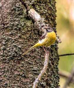 _MG_2005-Bearbeitet.jpg _MG_2005-Bearbeitet.jpg