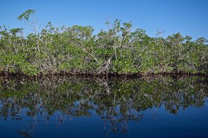 HD_SDIM1065.jpg HD_SDIM1065.jpg