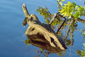 HD_SDIM0921.jpg HD_SDIM0921.jpg