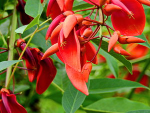 DSCN0358_Bildgröße ändern.JPG