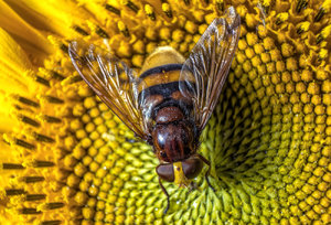 _Y0A2175-Bearbeitet-2.jpg _Y0A2175-Bearbeitet-2.jpg