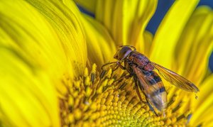 _Y0A2036-Bearbeitet.jpg _Y0A2036-Bearbeitet.jpg