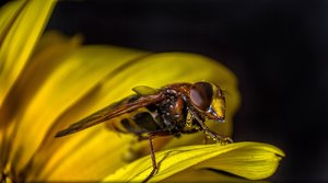 _Y0A2079-Bearbeitet.jpg _Y0A2079-Bearbeitet.jpg