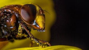 _Y0A2079-Bearbeitet-2.jpg _Y0A2079-Bearbeitet-2.jpg