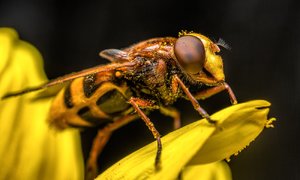 _Y0A2247-Bearbeitet.jpg _Y0A2247-Bearbeitet.jpg