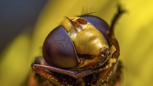 _Y0A2281-Bearbeitet.jpg _Y0A2281-Bearbeitet.jpg