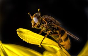 _Y0A2102-Bearbeitet.jpg _Y0A2102-Bearbeitet.jpg