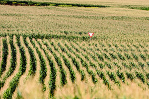 ExLR DSC_4436-2.jpg ExLR DSC_4436-2.jpg