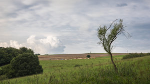 für Fotoforum-87.jpg für Fotoforum-87.jpg