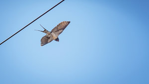 für Fotoforum-88.jpg für Fotoforum-88.jpg