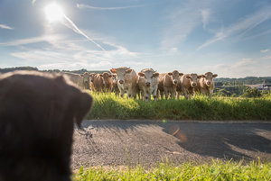 für Fotoforum-89.jpg für Fotoforum-89.jpg