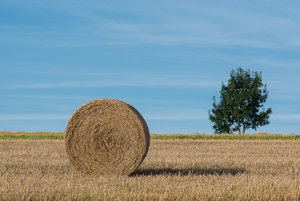 für Fotoforum-90.jpg für Fotoforum-90.jpg
