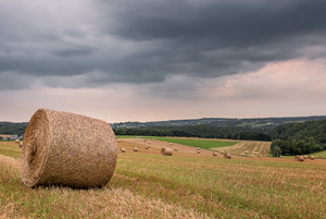 für Fotoforum-91.jpg für Fotoforum-91.jpg