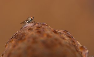 500k_SDIM1114-2.jpg 500k_SDIM1114-2.jpg