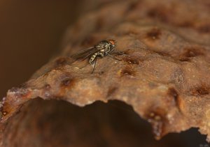 500k_SDIM1116-2.jpg 500k_SDIM1116-2.jpg