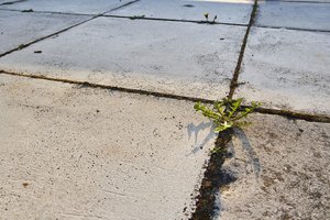 HD_SDIM0559_mini.jpg HD_SDIM0559_mini.jpg