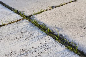 HD_SDIM0555_mini.jpg HD_SDIM0555_mini.jpg