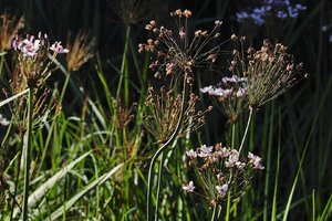 HD_SDIM0667_mini.jpg HD_SDIM0667_mini.jpg