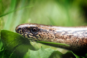 2016 08 29_4048_bearbeitet-2.jpg 2016 08 29_4048_bearbeitet-2.jpg