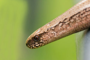 2016 08 29_4073_bearbeitet-2.jpg 2016 08 29_4073_bearbeitet-2.jpg