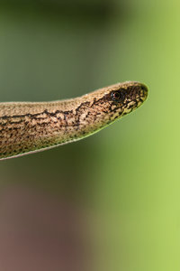 2016 08 29_4069_bearbeitet-2.jpg 2016 08 29_4069_bearbeitet-2.jpg