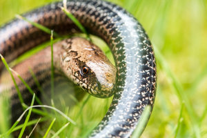 2016 08 29_4056_bearbeitet-2.jpg 2016 08 29_4056_bearbeitet-2.jpg