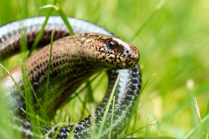 2016 08 29_4052_bearbeitet-2.jpg 2016 08 29_4052_bearbeitet-2.jpg