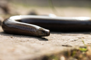 2016 08 29_4089_bearbeitet-2.jpg 2016 08 29_4089_bearbeitet-2.jpg