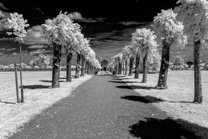 comp_IMG_8543.jpg comp_IMG_8543.jpg