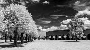 comp_IMG_8551sw.jpg comp_IMG_8551sw.jpg