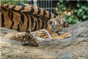 Bild - 1.jpg Bild - 1.jpg