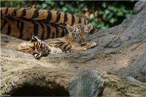 Bild - 2.jpg Bild - 2.jpg