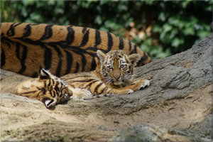 Bild - 3.jpg Bild - 3.jpg