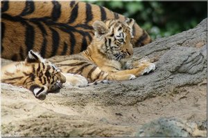 Bild - 4.jpg Bild - 4.jpg