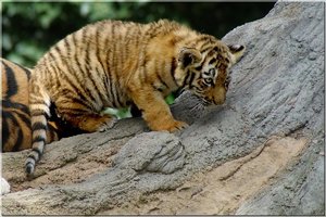 Bild - 6.jpg Bild - 6.jpg