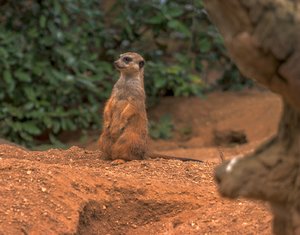 comp_CRW_3106.jpg comp_CRW_3106.jpg