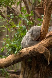 comp_CRW_3132.jpg comp_CRW_3132.jpg