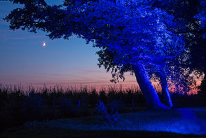 2016 09 07_4210_bearbeitet-2.jpg 2016 09 07_4210_bearbeitet-2.jpg