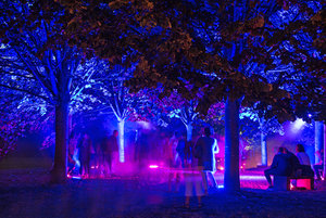 2016 09 07_4220_bearbeitet-2.jpg 2016 09 07_4220_bearbeitet-2.jpg