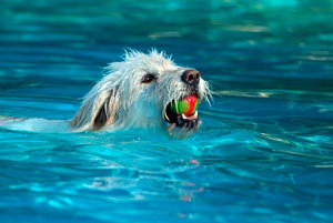 2016 09 08_4294_bearbeitet-2.jpg