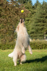 2016 09 09_4403_bearbeitet-1.jpg