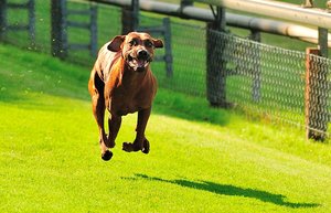 DSC_2270.jpg DSC_2270.jpg