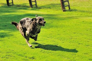 DSC_2575.jpg DSC_2575.jpg