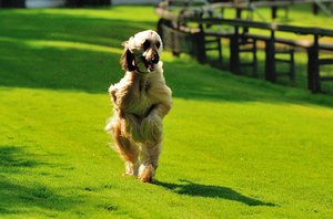 DSC_2414.jpg DSC_2414.jpg