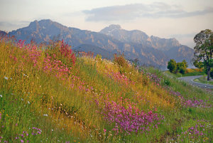 Wildsteig 2013__027 (2) Kopie.jpg