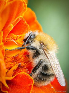 2016-09-17 22-04-20 (C).jpg