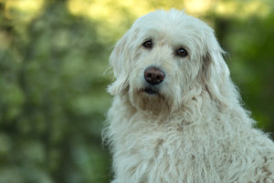 2016 09 21_4565_bearbeitet-2.jpg