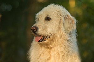 2016 09 21_4571_bearbeitet-2.jpg