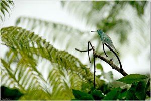 Bild -3.jpg Bild -3.jpg